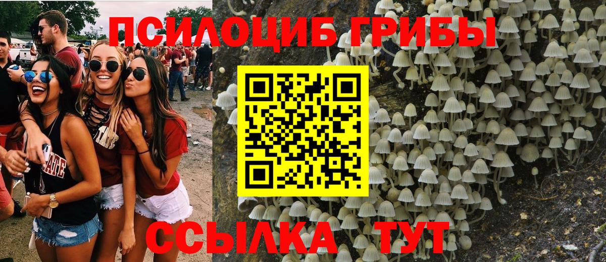 Славгород  Галлюциногенные грибы GOLDEN TEACHER  Вход с VPN  Псилоцибиновые грибы Psilocybine cubensis 